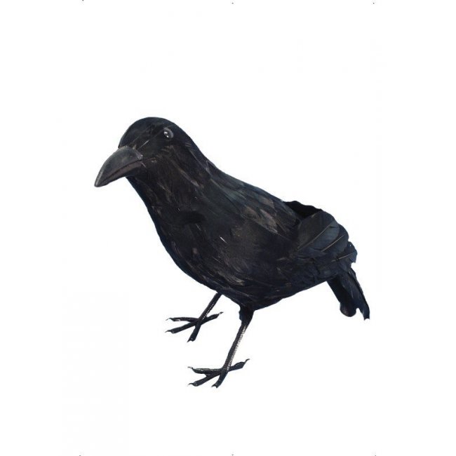 Crow Decoration