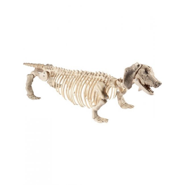 Daschund Dog Skeleton Prop