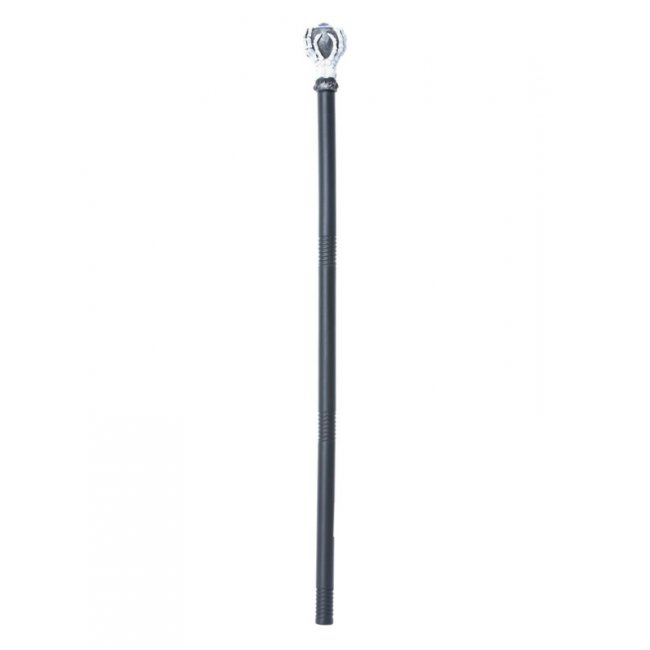 Extendable All Seeing Eye Cane