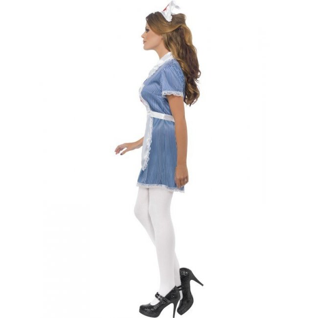 Nurse Naughty Costume