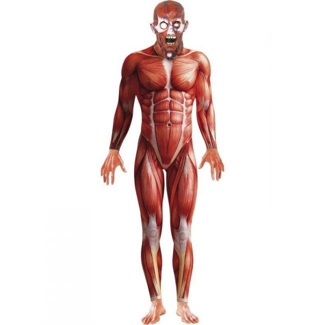 Anatomy Man Costume